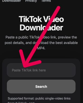 Paste TikTok link